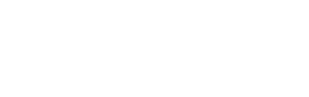 logo_acem_login